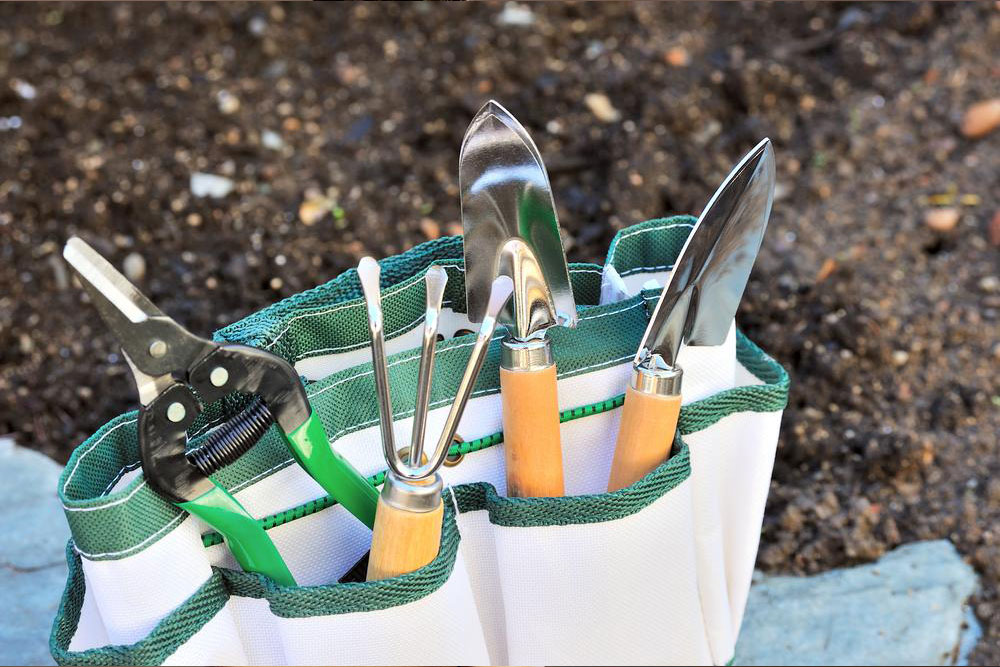 How to Reduce Costs While Gardening