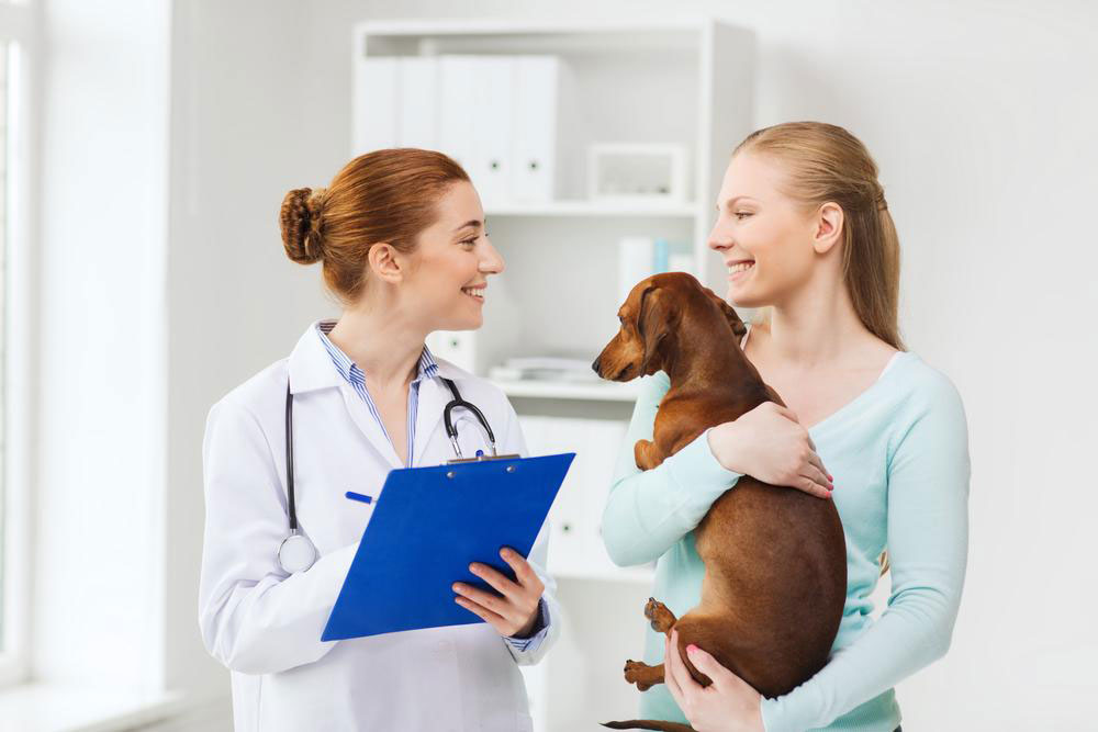 Things to Know About Cheap Pet Medicines