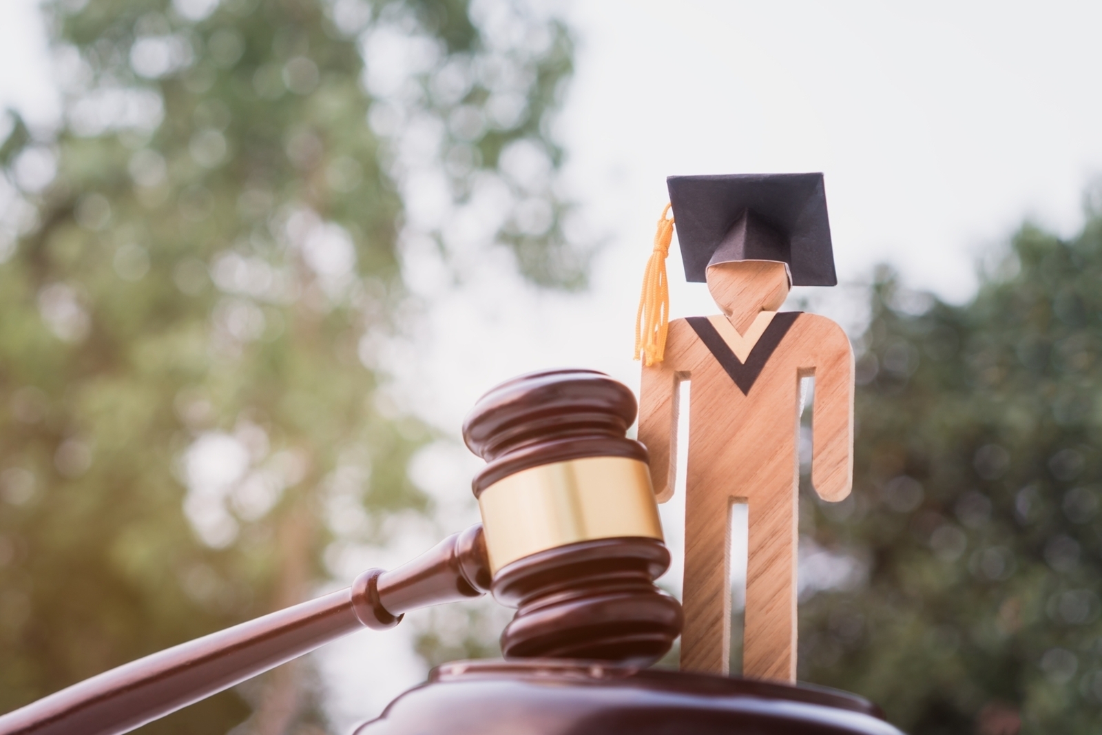 Highest Reviewed Online Law Degrees